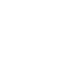 Taubenabwehr Taubenschreck Vogelschreck Raubvogelabwehr - 6-reihig 5 Meter (10 x 0,50cm Spikes) Taubenspikes Vogelschutz Vogelabwehr Vögel für Abschreckung Atrappe aus Edelstahl V2A von PRIOstahl